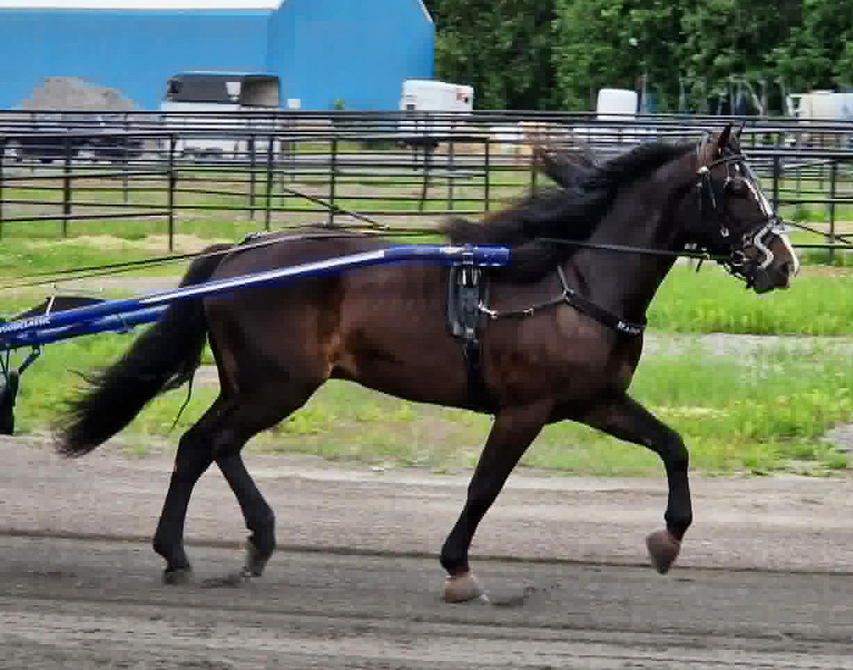 Hade Tur 260626-4